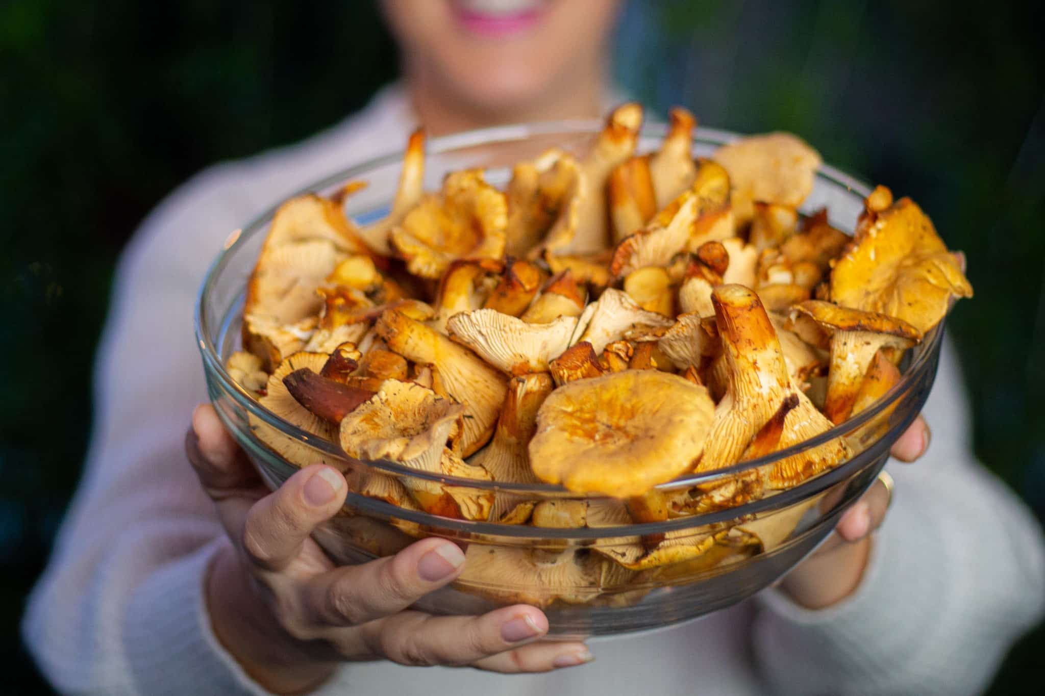 Chanterelle, chanterelle mushroom, golden chanterelle, chanterelles, golden chanterelles, chanterelle mushrooms