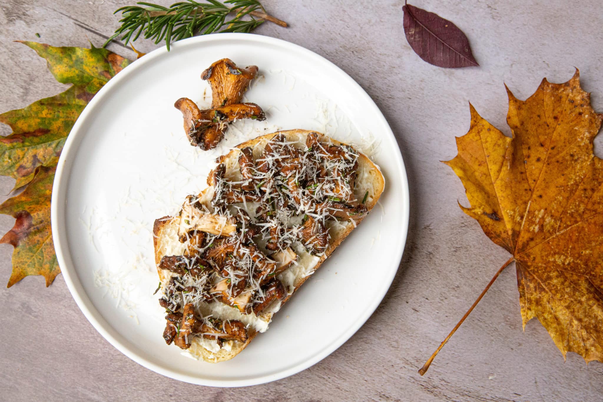 Chanterelle Toast, Chanterelle Mushroom, Chanterelle, wild mushroom toast