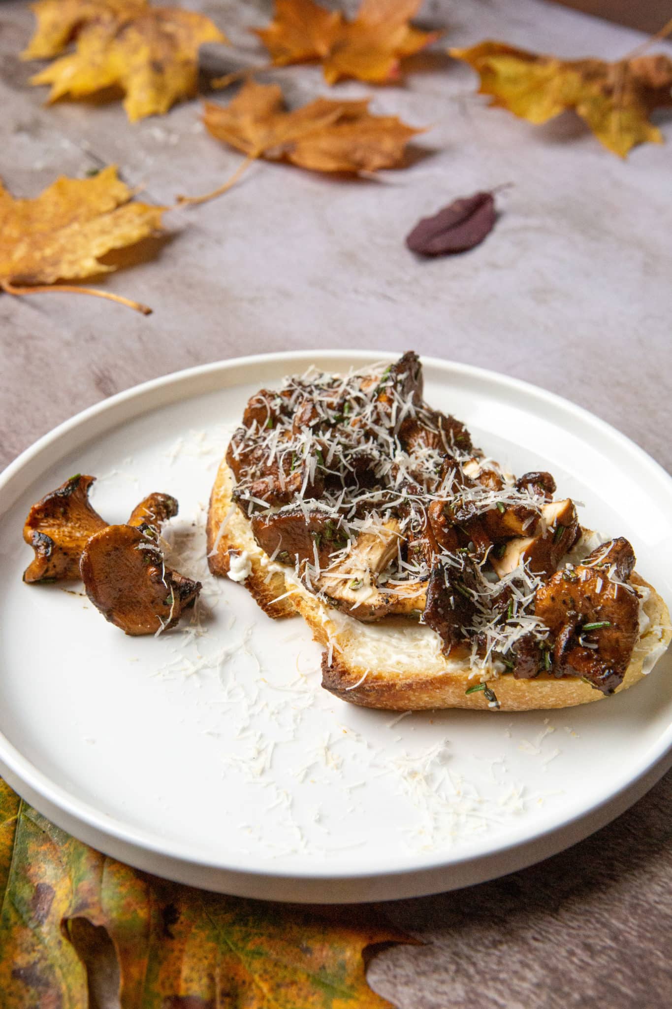 Chanterelle Toast, Chanterelle Mushroom, Chanterelle, wild mushroom toast