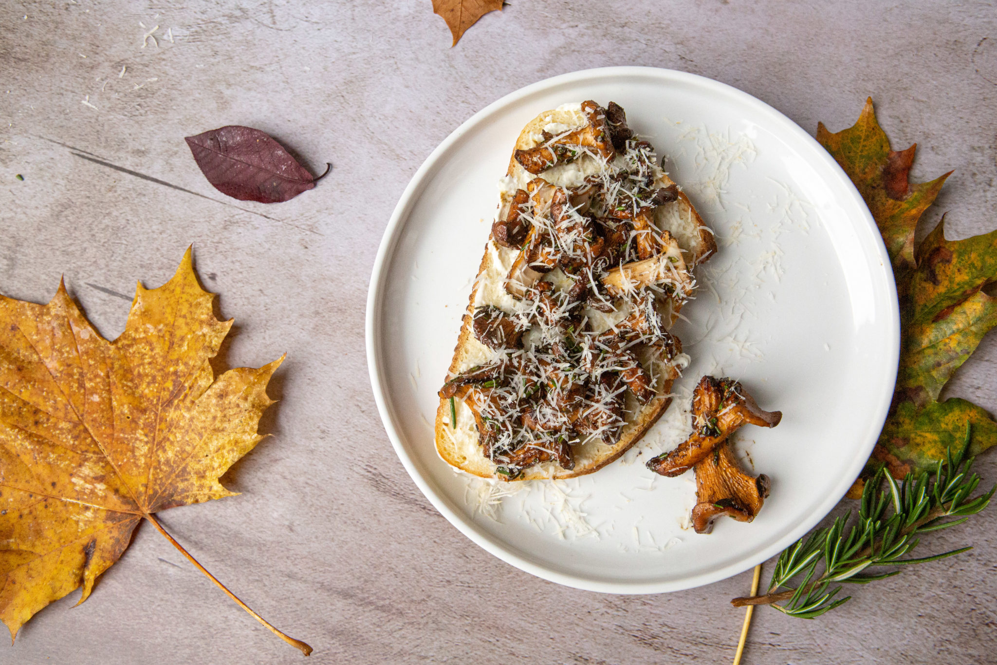 Chanterelle Mushroom Toast (MOUTHWATERING & MAGICAL)