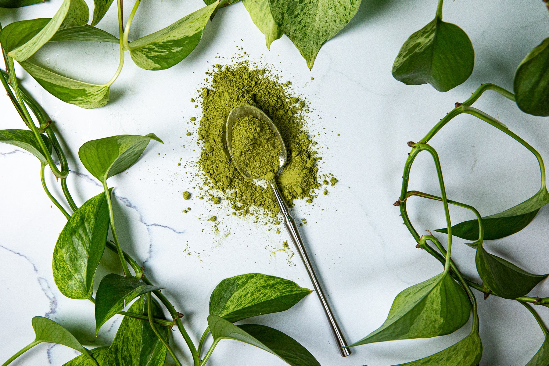 Matcha Powder,