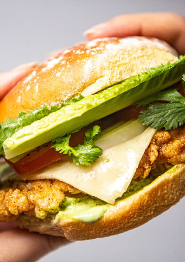 crispy southern fried chicken burgers, crispy chicken burgers, crispy buttermilk chicken burgers, buttermilk fried chicken burgers, southern fried chicken burgers, fried chicken sandwich, crispy chicken burger recipe, how to make crispy southern fried chicken burgers,