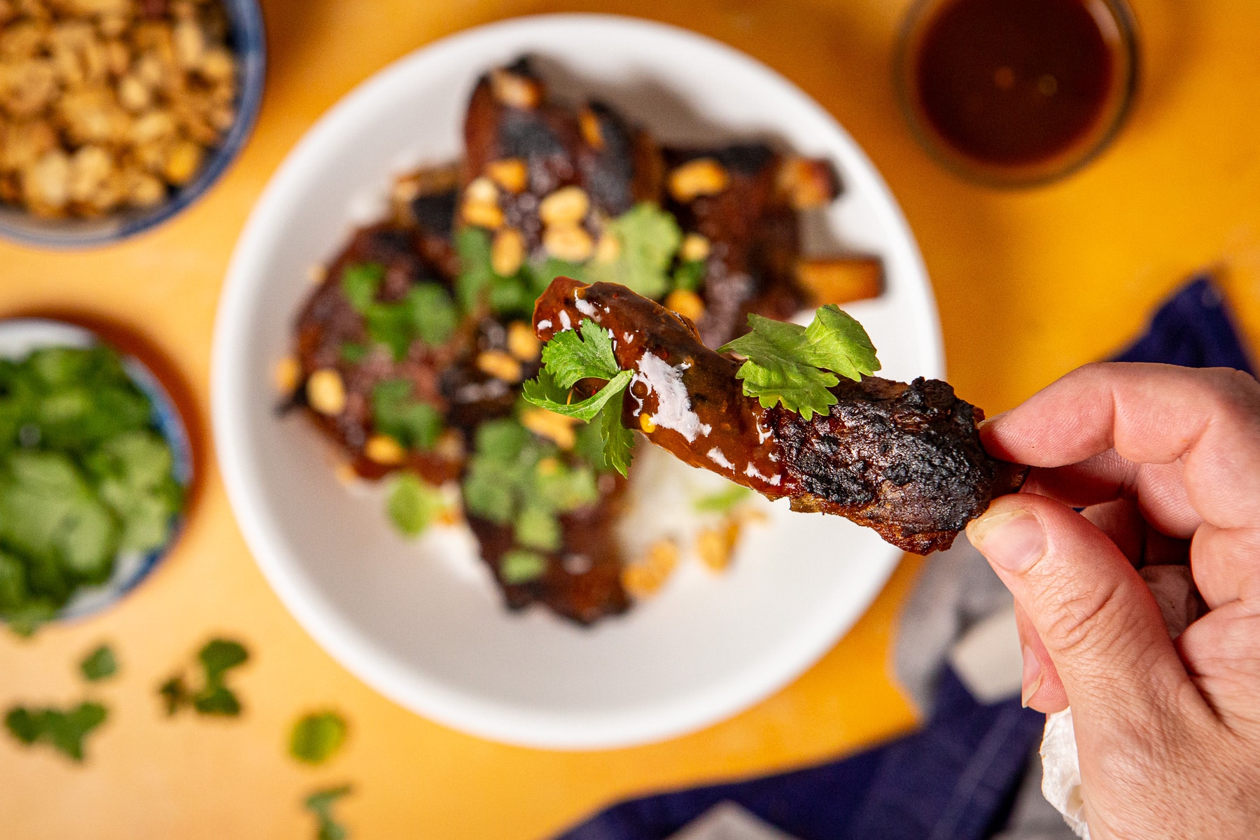Dutch Oven Pork Ribs w/ Jasmine Rice & Thai Style Tamarind BBQ Sauce, Dutch oven pork ribs recipe, spareribs, pork ribs, thai ribs, thai pork ribs recipe, dutch oven pork, pulled pork rice bowl recipe,