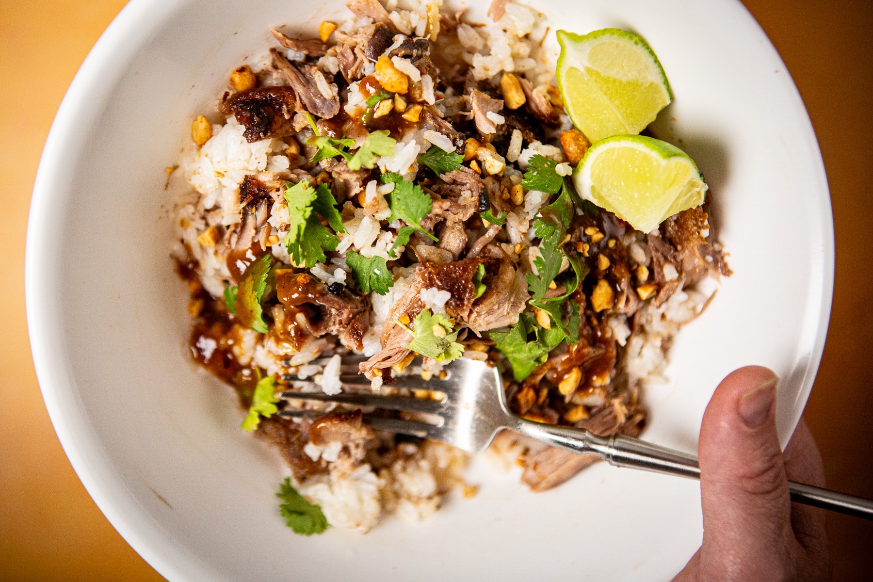 Dutch Oven Pork Ribs w/ Jasmine Rice & Thai Style Tamarind BBQ Sauce, Dutch oven pork ribs recipe, spareribs, pork ribs, thai ribs, thai pork ribs recipe, dutch oven pork, pulled pork rice bowl recipe,