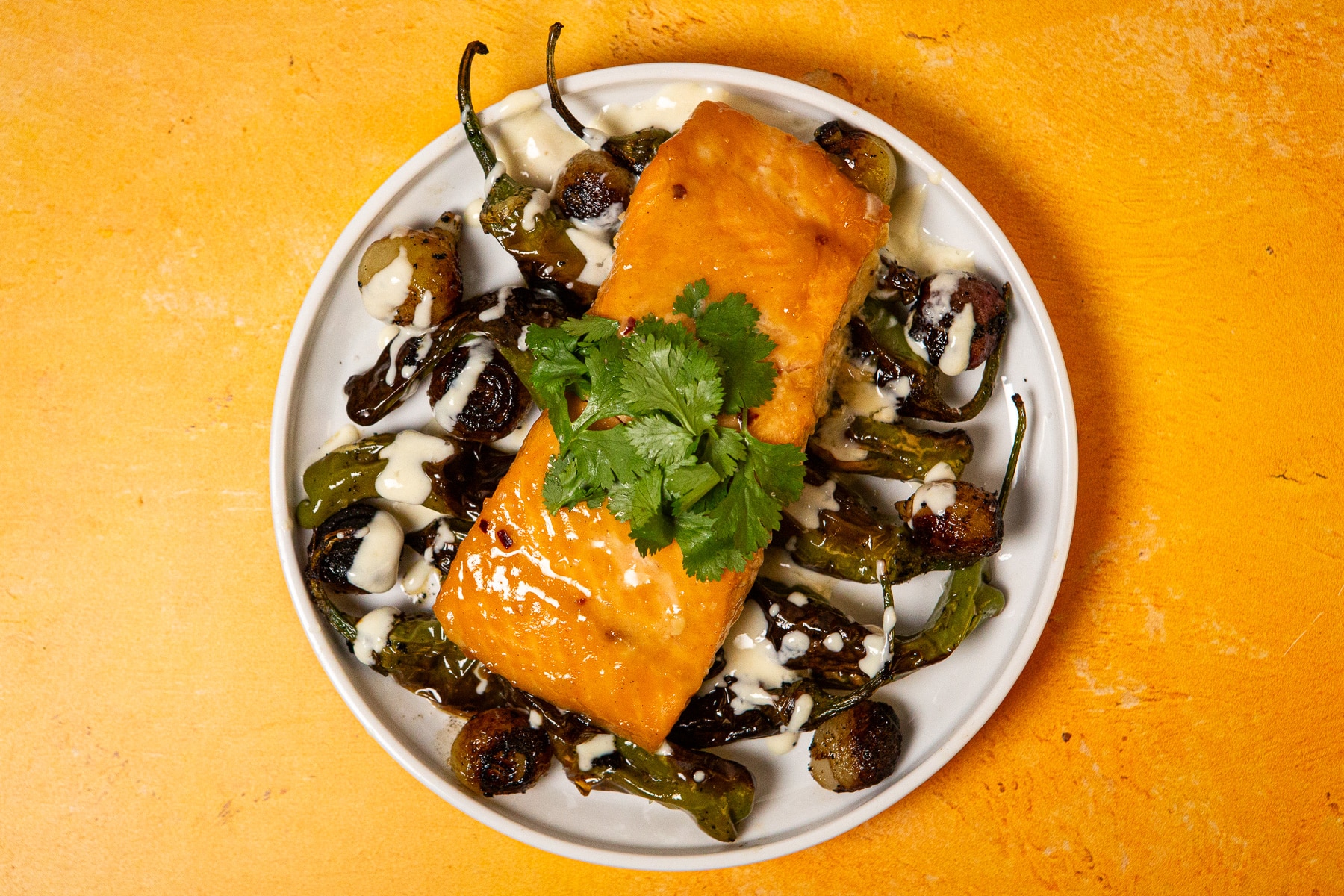 miso ginger salmon, king salmon, honey miso ginger, honey miso ginger salmon glaze, glazed salmon, baked salmon, salmon recipes, how to make honey miso ginger glazed salmon,